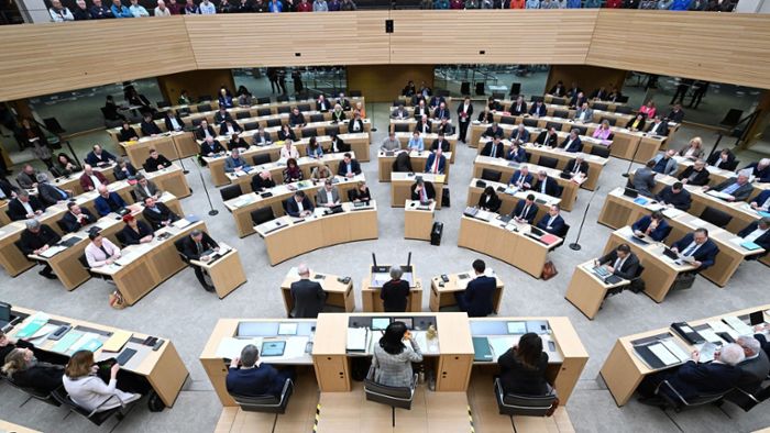 Landtag von Baden-Württemberg: Viele Ordnungsrufe – AfD größter Störenfried im Parlament