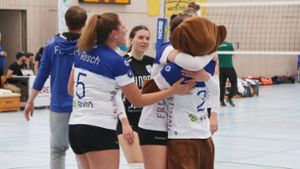 Volleyball 2. Bundesliga Pro: Fix: Blaubären Flacht profitieren von  Liga-Aufstockung