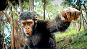 Wie gut ist der neue „Planet der Affen“-Film?