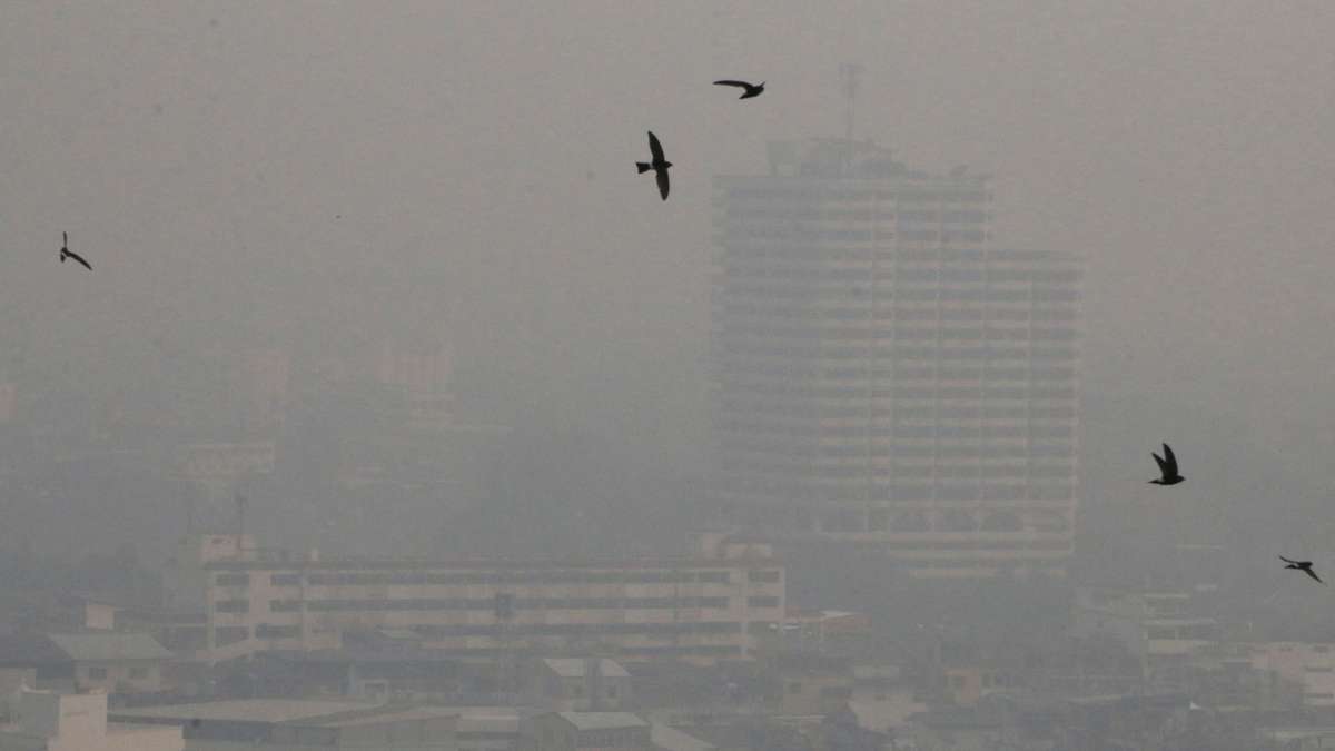 Thailand: Dicke Luft in Chiang Mai: Extrem-Smog in Touristenstadt