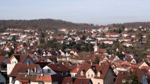Heimat-Check Stuttgart: So haben die Botnanger für ihren Stadtbezirk abgestimmt