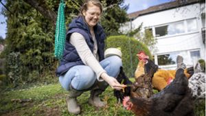 Stuttgarterin hält sieben Hennen: So gelingt die Hühnerhaltung im Garten