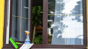 Fenster putzen mit Spüli: Simple Anleitung