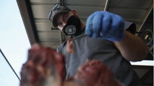Zwei US-Jäger sterben an „Zombie-Hirsch-Krankheit“