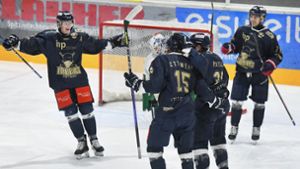 Stuttgarter Eishockey-Club: Rebels schließen sich DEL-Kooperation an