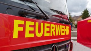 Brand in Leinfelden: Anwohner löscht brennenden Busch – Polizei sucht Zeugen