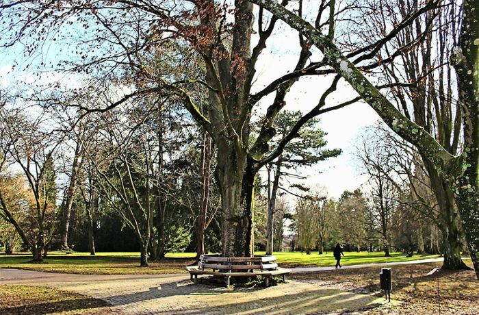 Exotischer Garten Hohenheim: Nächtlicher Radau im Park stresst Anwohner