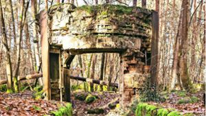 Lost Places Region Stuttgart: Rätselhafte Steinkreis-Ruine  aus einer dunklen Zeit