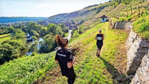Lauf in Vaihingen-Rosswag: 401 Weinbergstaffeln rauf und runter