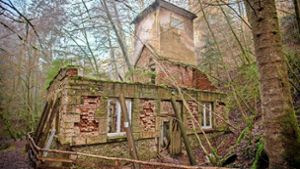 Ausflug zur ominösen Ruine im Bannwald