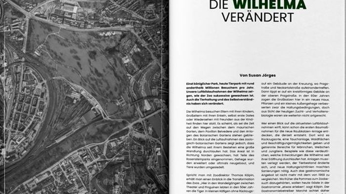 Magazin Stuttgart von oben: So haben Sie Stuttgart noch nie gesehen