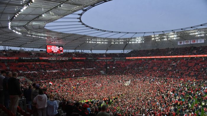 VfB Stuttgart bei Bayer Leverkusen: Alonso sicher: Rasen trotz Meister-Feier gut bespielbar