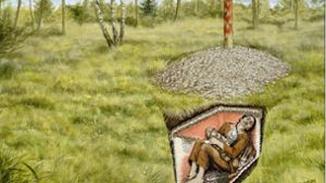 Das Geheimnis der  9000 Jahre alten Schamanin vom Bad Dürrenberg