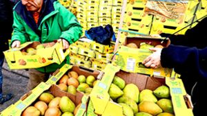 Aktion im Kirchenbezirk Böblingen: Mangos für den guten Zweck